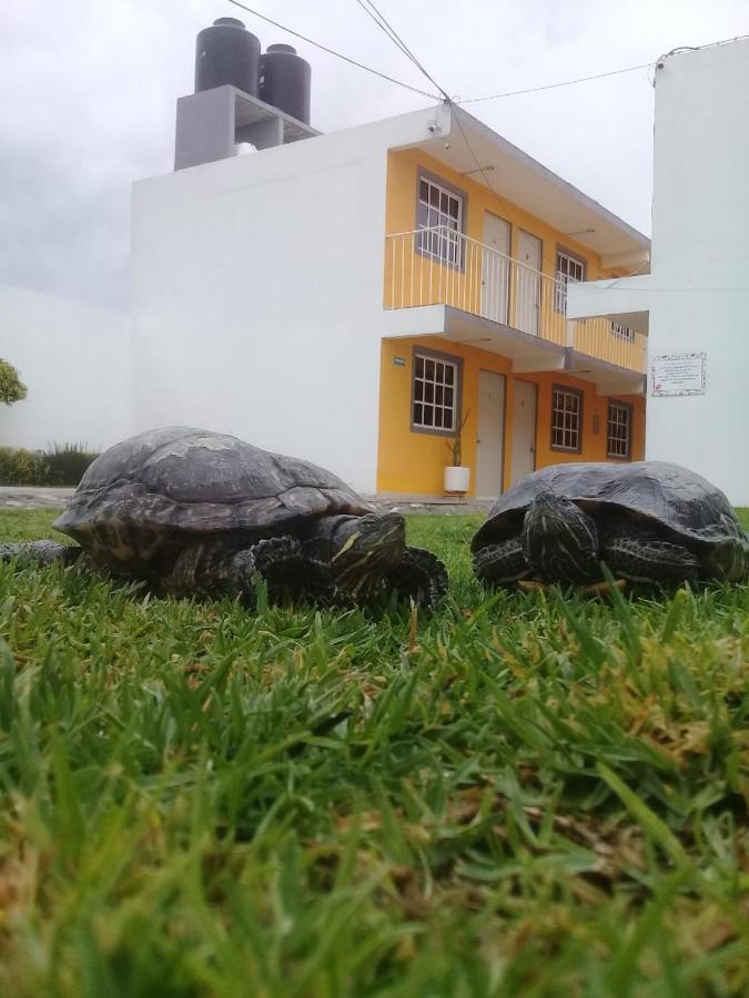 Posada Del Angel Pachuca Eksteriør bilde